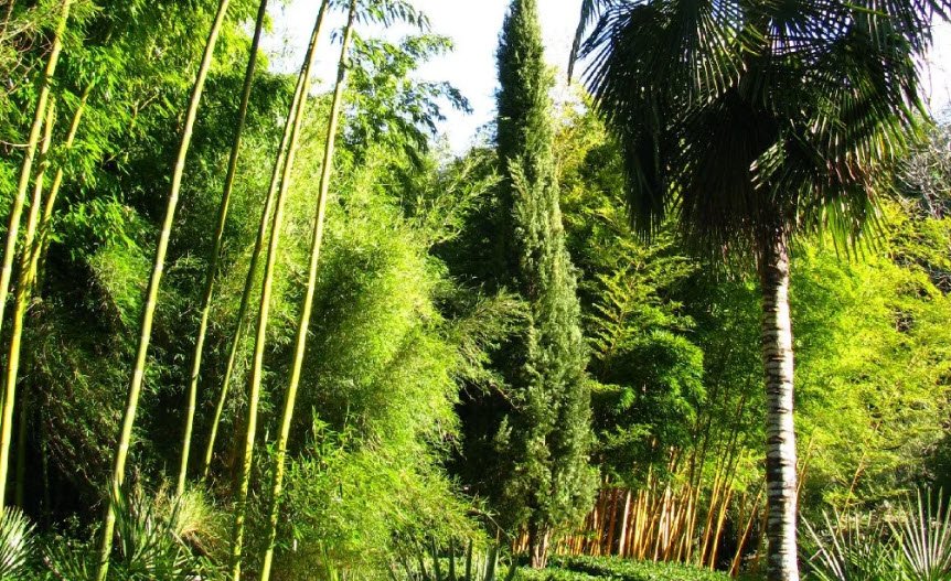 Les Bambous De Planbuisson Garden, Le Buisson-de-Cadouin, France, France